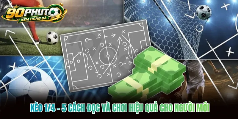 Kèo 1/4 - 5 Cách Đọc Và Chơi Hiệu Quả Cho Người Mới