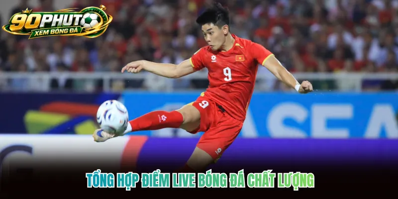 Tổng hợp điểm live bóng đá chất lượng Tổng hợp điểm live bóng đá chất lượng
